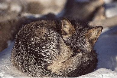 《地球防卫军6》最新预告 8月25日正式发售