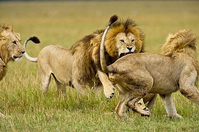 虚幻引擎5.3现已发布 面向公众开放下载